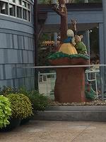 IMG 0858