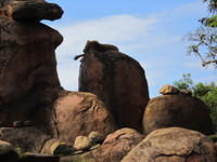 IMG 0858