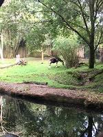 IMG 0896