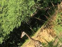 IMG 0909