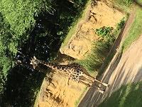 IMG 0910