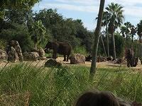 IMG 0919