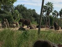 IMG 0920