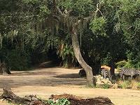 IMG 0928