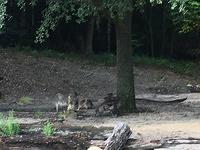 IMG 0930