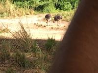 IMG 0931