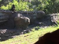 IMG 0942