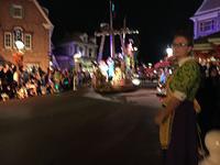 IMG 0980