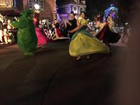 IMG 0988