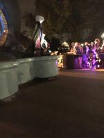 IMG 0990