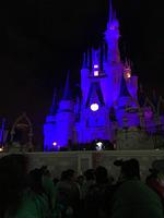 IMG 0991