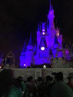 IMG 0992