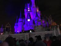 IMG 0993