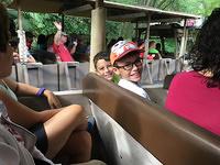 IMG 2197