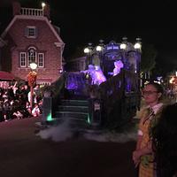 IMG 2284