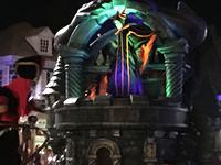 IMG 2291