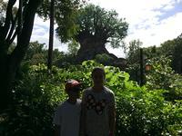 IMG 2676