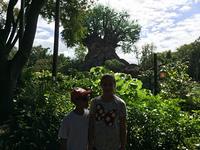 IMG 2677