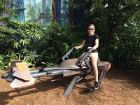 IMG 2712