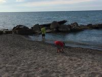 IMG 0772