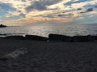 IMG 0779