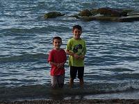 IMG 0784