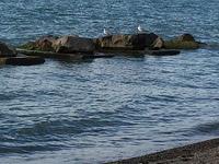 IMG 0788