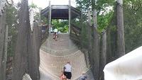 20160819 123059
