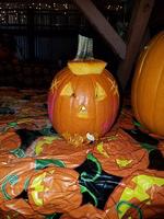 20171028 175914