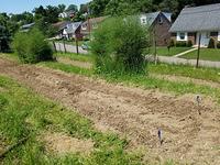 Corn all planted