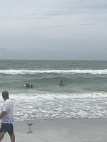 IMG 0455