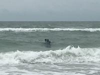 IMG 0456