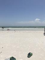 IMG 0465