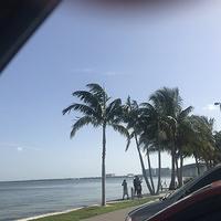IMG 0486