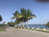 IMG 0487