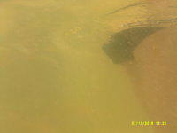 DSCF0056