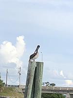 IMG 3607