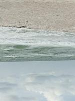 IMG 4206