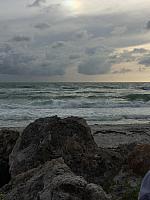 IMG 4210