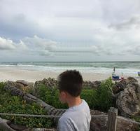 IMG 4229