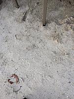 IMG 4236