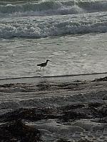 IMG 4240