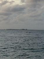 IMG 4244