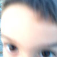 IMG 4254