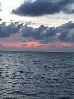 IMG 4257