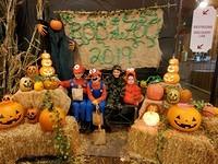 Boo at the Zoo 2019