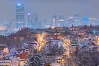 Pittsburgh from Troy Hill