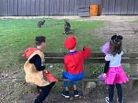 FB IMG 1633224409940
