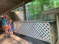 IMG 5272