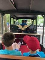 IMG 5329